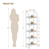 Hzuaneri Bookcase Bookshelf, Tempered Glass Arched Bookshelf for More Storage, Slim Shelving Unit for Bedroom, Bathroom, Home Office, Steel Frame, 5 Tier Gold BC20599G Hzuaneri