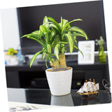 Yardenfun 2pcs Mini Wooden Arch Bridge Artificial Arch Bridge Wooden Bridge for Micro Bonsai Ornament Fence Garden Bridges for Outdoors 4ft Natures Garden Container Micro Scene Miniature Yardenfun