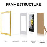 BSRHOME 8x10 Picture Frame with Plexiglass, Display Pictures 5x7 with Mat or 8x10 Without Mat for Tabletop Display and Wall Mounting, Set of 2，Gold BSRHOME