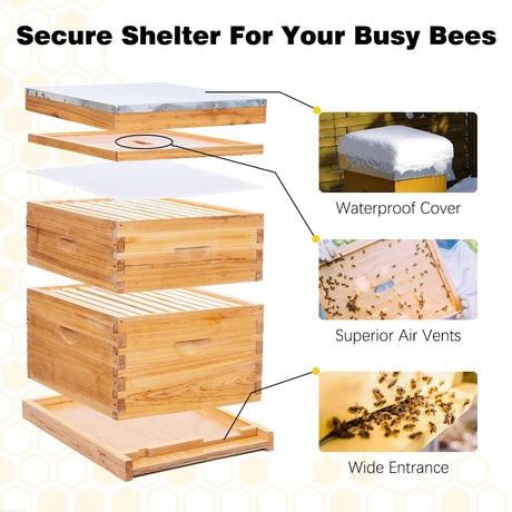POLLIBEE Bee Hive Starter Kit, 8 Frame Bee Hives, Hive Include1 Deep Bee Box 1 Medium Beehive Box with Bee Frames and Wax Foundation,Unassembled Beehive Starter Kit for Beekeeper POLLIBEE