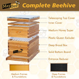 Beehive 8 Frame Bee Hives and Supplies Starter Kit, Bee Hive for Beginner, Honey Bee Hives Includes 1 Deep Bee Boxes, 1 Bee Hive Super with Beehive Frames and Foundation MayBee