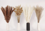 Dried Pampas Grass Decor, 100 Stems Pampas Grass Contains Bunny Tails Dried Flowers, Reed Grass Bouquet for Wedding Boho Flowers Home Table Decor, Rustic Farmhouse Party (17", White and Brown) ANPROOR