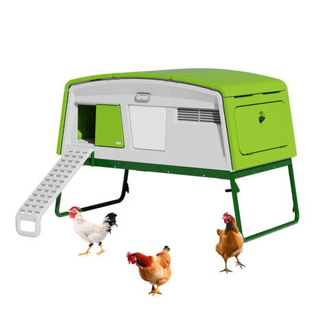 Omlet Eglu Pro Large Chicken Coop | House up to 10 Large Hens or 15 Bantams | Easy to Clean Plastic Chicken Tractor | Predator Proof Coop Design | Zero Maintenance Omlet