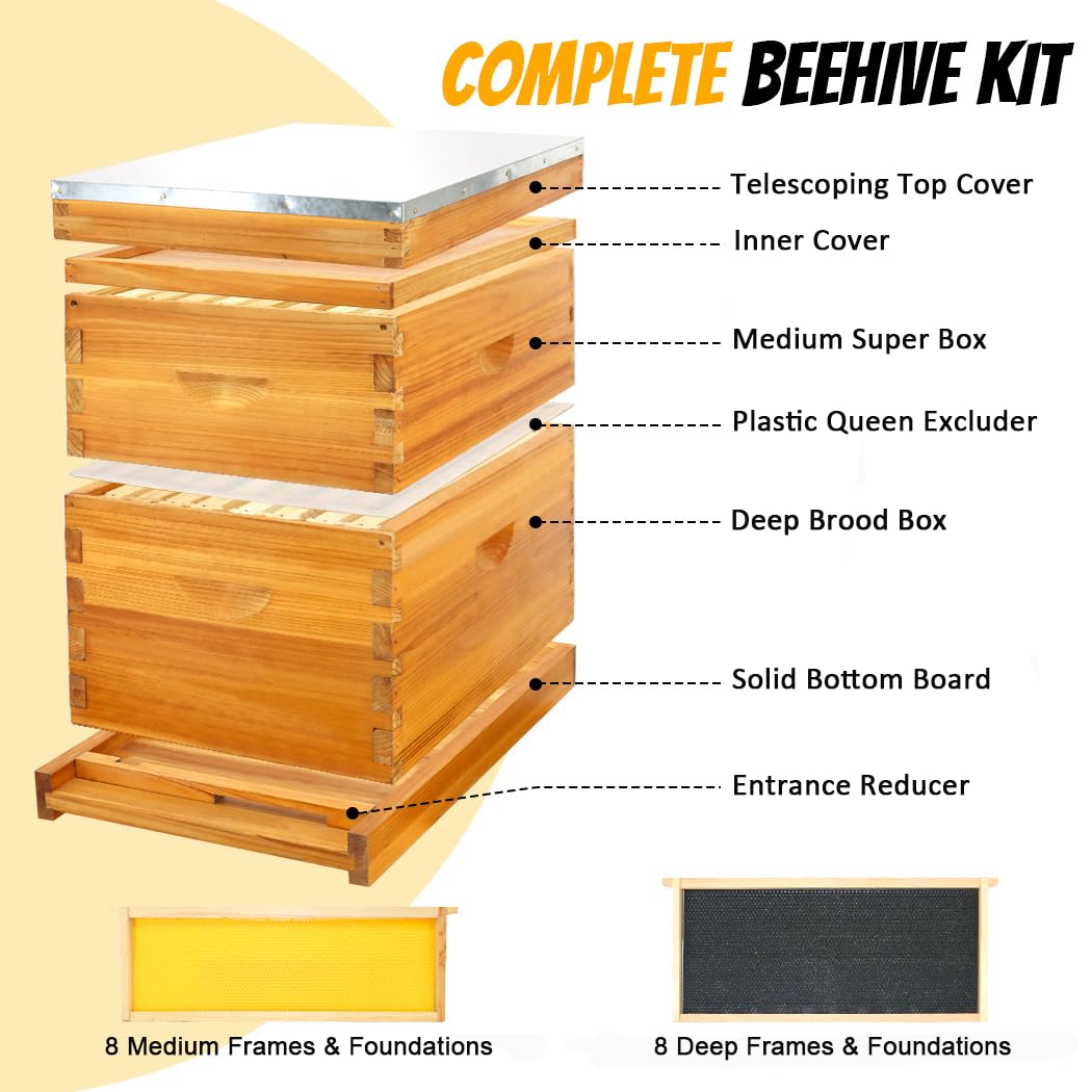 Honey Lake 8 Frame Complete Bee Hive Starter Kit for Beekeepers Dipped in 100% Beeswax Includes Deep Brood Box & Medium Super Bee Box with Beehive Frames and Waxed Foundation Sheet (2 Layer) Honey Lake