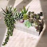 Supla Artificial Potted Succulents Plants Arrangement Fake Succulent Plants in Rectangular Wooden Pot Arrangement for Table Centerpiece Windowsill Greenery Decor Supla
