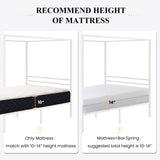 Queen Size Metal Canopy Bed Frame by SHA CERLIN - Sturdy, No Box Spring Needed, Easy Assembly, Customisable Design in White SHA CERLIN