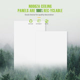 Noooza 2ft x 4ft Drop Ceiling Tiles，Smooth White PVC Ceiling Panel 24 x 48in. Waterproof, Washable and Fire-Rated - Reusable - High-Grade PVC to Prevent Breakage-Package of 10 Tiles Noooza
