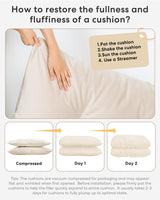 Miscoos Velvet Convertible Futon Sofa Bed, 71" Comfy Loveseat Sleeper Sofa with Adjustable Backrest Armrest, Strengthen Wood, Thick Padded Cushion, Small 2 Seater Futon Couch for Living Room, Bedroom Miscoos