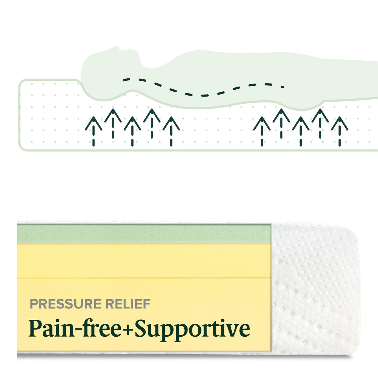 ZINUS 8 Inch Green Tea Essential Memory Foam Mattress, King, Mattress in A Box, Affordable Mattress, CertiPUR-US Certified Zinus