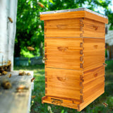 Honey Lake 8 Frame Bee Hive Kit, Langstroth Bee Hives Boxes Starter Kit for Beekeepers Dipped in 100% Beeswax Includes 2 Deep Brood Box & 1 Medium Super Bee Box with Beehive Frames and Foundations Honey Lake