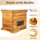 BeeCastle 10-Frame Langstroth Beehive, Beeswaxed Coated Bee Hive Starter Kit for Beekeeping Beginners with Beehive Frame and Waxed Foundation (1 Deep Beehive Box & 1 Medium Beehive Box) BeeCastle