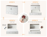 AMERLIFE Queen Murphy Bed with Storage & Charging Station, Farmhouse Murphy Cabinet with Foldable Panel, Noisy Free, for Guest Bedroom, Living Room, Office, Distressed White & Barnwood AMERLIFE