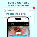 BROAIMX Smart Bird Feeder with Camera, Free AI Forever for 11,000+ Bird Species, 64G TF Card & 1080P HD, Solar-Powered Wireless Outdoor Bird Feeder, App Alerts & Two-Way Audio for Garden Bird Watching BROAIMX