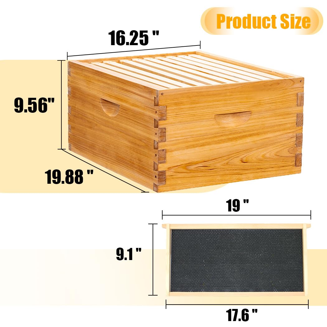 Honey Lake 10 Frame Bee Hive Starter Kit, Complete Beehive Kit for Beekeepers Dipped in 100% Beeswax Includes 1 Deep Brood Box & 1 Medium Super Bee Box with Beehive Frames and Waxed Foundation Sheet Honey Lake