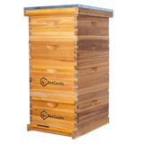 BeeCastle 10 Frame Langstroth Bee Hive Coated with 100% Beeswax Includes Beehive Frames and Waxed Foundations (2 Deep Boxes & 2 Medium Boxes) BeeCastle