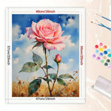 TAOPAOLAB Flower Paint by Numbers Kit for Adults - DIY Pink Rose and Bud Painting on Canvas 16x20 Inches, Acrylic Paint Set, Suitable for Beginners, Floral Art for Home Decoration or Gifts TAOPAOLAB