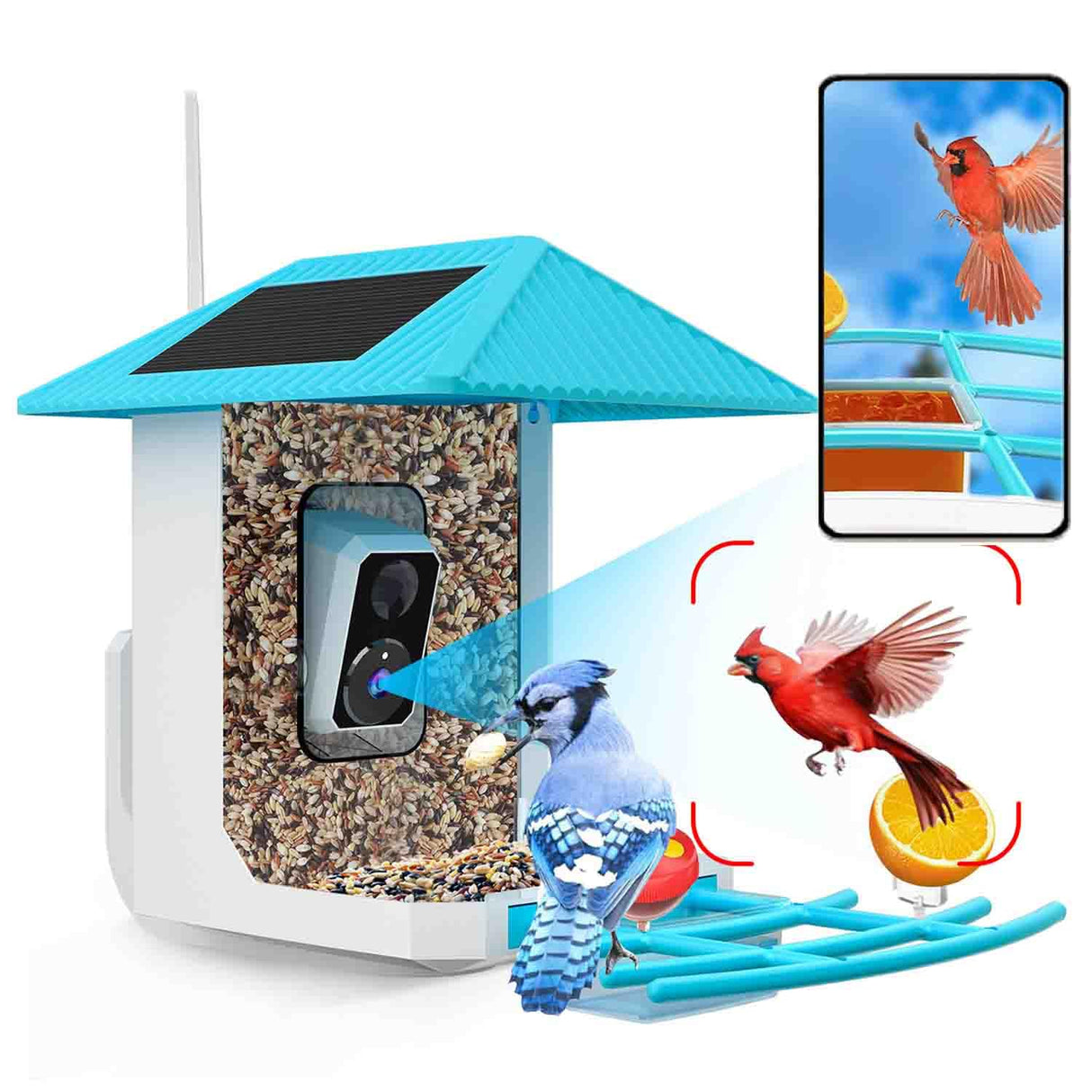 2.5K Smart Bird Feeder with Camera, Birds Watching Camera with AI Identify Bird Species, Outdoor Birds Feeder House with Solar Panel for Bird Lovers (Blue) Tutoview