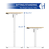 SANODESK Electric Standing Desk 60 x 24 Inches, Height Adjustable Stand Up Desk w/2-Button Controller, Ergonomic Computer Desk for Home Office, White SANODESK