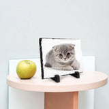 12 Pack Blanks Sublimation Rock Slate Photo Frame Rectangular Heat Transfer Custom Photo Stone Plaque Memorial Gifts Picture Frames for Valentines Wedding Christmas Thanksgiving, 5.9" x 7.9" WHEATHUSK