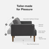 mopio Aaron Couch, Small Sofa, Futon, Sofa Bed, Sleeper Sofa, Loveseat, Mid Century Modern Futon Couch, Sofa Cama, Couches for Living Room, Bedroom (Dark Gray, Fabric) mopio