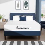 LIYIH Queen Size Mattress,10 Inch Queen Mattress,Guest Room Mattresses,Improves Sleep and Reduces Back Pain, CertiPUR-US Certified【New Version】 LIYIH