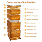 Honey Lake 8 Frame Bee Hive Dipped in 100% Beeswax, Langstroth Complete Beehives Starter Kit Includes 2 Deep Brood Box and 2 Medium Super Box with Beehive Frames and Waxed Foundation Sheet Honey Lake