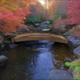 SamsGazebos Basho Garden Bridge 8 ft SamsGazebos