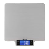 Taylor 22lb Ultra-Precise Digital Stainless Steel Household Kitchen Scale, One, Silver Taylor