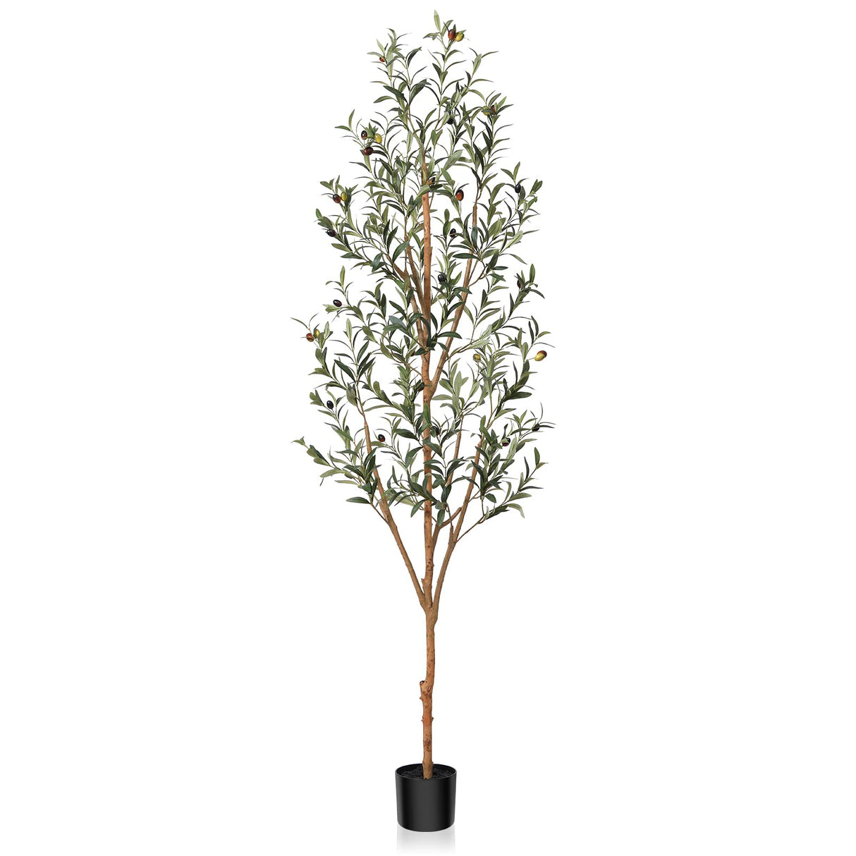 Kazeila Artificial Olive Tree 6FT Tall Faux Silk Plant for Home Office Decor Indoor Fake Potted Tree with Wood Branches and Fruits Kazeila