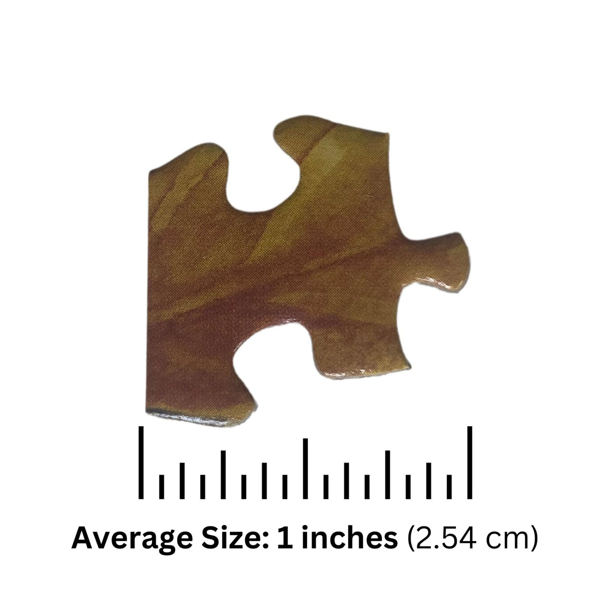 Bits and Pieces - Value Set of Three (3) 1000 Piece Jigsaw Puzzles for Adults - Each Puzzle Measures 20" x 27"- National Parks Nature Grand Canyon Acadia Yosemite Jigsaws by Various Artists Bits and Pieces