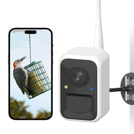 NETVUE by Birdfy Smart Bird Feeder Camera, Adjustable Brackets, Auto Bird Video Capture, Instant Notifications, AI Identify 6000+ Species NETVUE