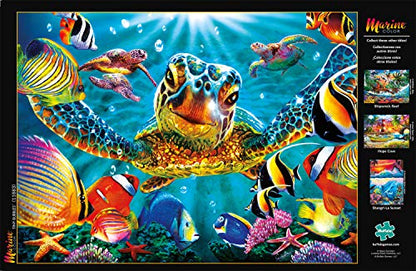 Buffalo Games - Steve Sundram - Tiny Bubbles - 1000 Piece Jigsaw Puzzle For Adults - High Quality Challenging Puzzle Perfect for Game Nights - Finished Size is 26.75 x 19.75