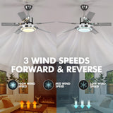 Fandian 48" Modern Ceiling Fans with Lights Remote Control Reversible Fan, Stainless Steel Blades, 3 speeds and 3 Color Changes Lighting Fixture with LED Board for Bedroom Living Room Fandian