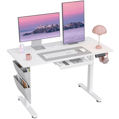 DSNAPE Electric Standing Desk with Drawers,48x24 Inch Electric Desk Adjustable Height with Side Storage,Sit Stand Desk for Home and Office,White DSNAPE