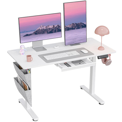 DSNAPE Electric Standing Desk with Drawers,48x24 Inch Electric Desk Adjustable Height with Side Storage,Sit Stand Desk for Home and Office,White