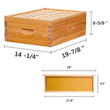 8-Frame Beehive Box Langstroth Medium Super Bee Box for Sale Wax Coated Bee Hives Includes Wooden Frames & Waxed Foundations MayBee