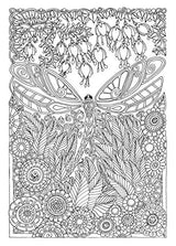 Creative Haven Entangled Dragonflies Coloring Book (Adult Coloring Books: Insects) Dover Publications