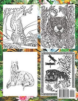 TIGRES COLORING BOOK FOR GROWN UPS: An Adult Tiger Coloring Book With 29 Beautiful Tiger designs for stress relieving and relaxation Majosta