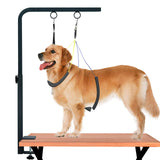 LSAIFATER 31" Dog Grooming Arm with Clamp – Adjustable Dog Grooming Table Arm Customizable Height for Small & Medium Dogs, with Grooming Loop Noose & Two No-Sit Haunch Holder Restraint, Black LSAIFATER
