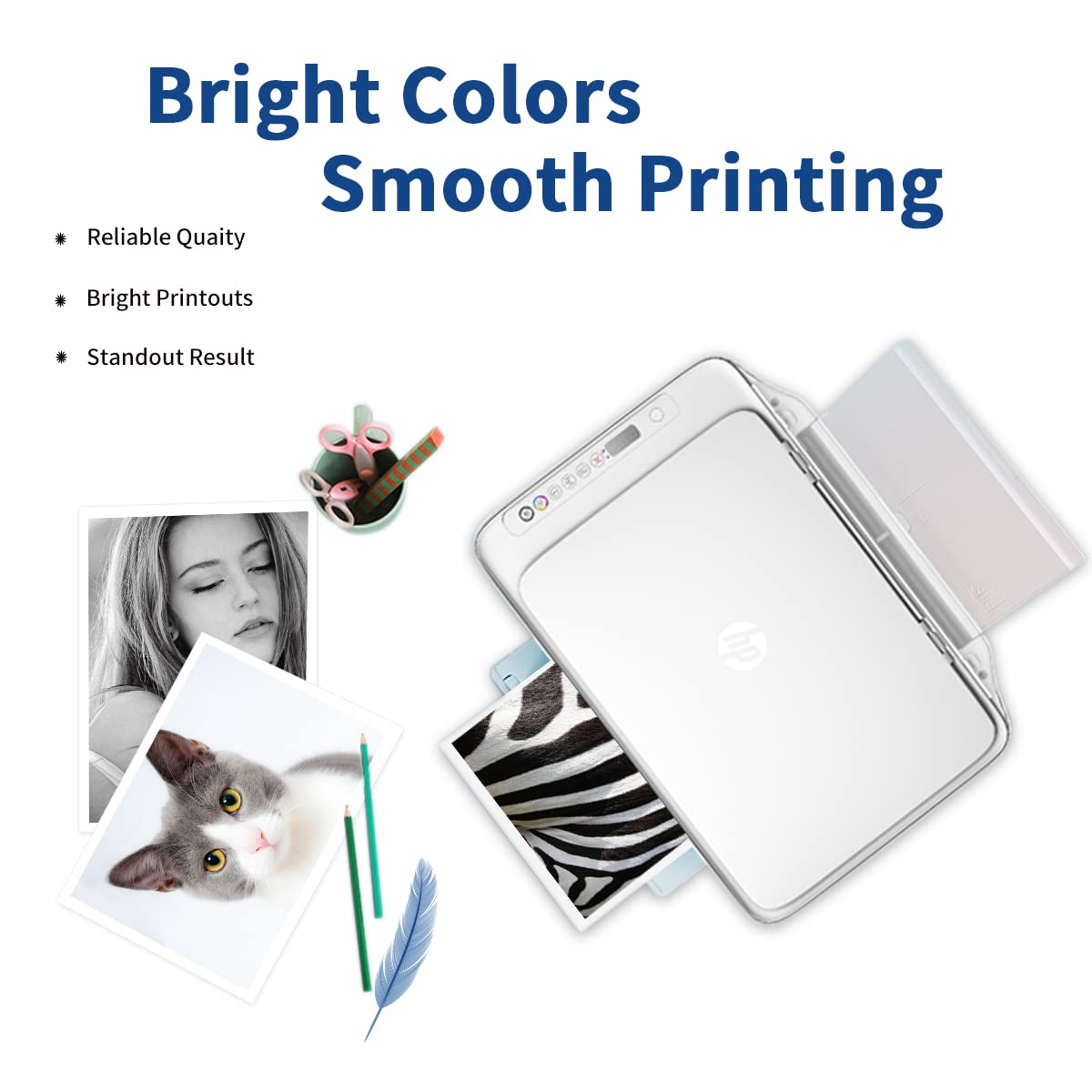 Relcolor Compatible Ink Cartridge Replacement for Canon 245XL (Black 2 Pack) 245 XL PG245 243 243XL for MX490 MG2522 MX492 TR4520 TR4500 MG2520 TS3300 TS3322 MG2525 TR4522 TS3100 TS3122 TS3320 Printer Relcolor