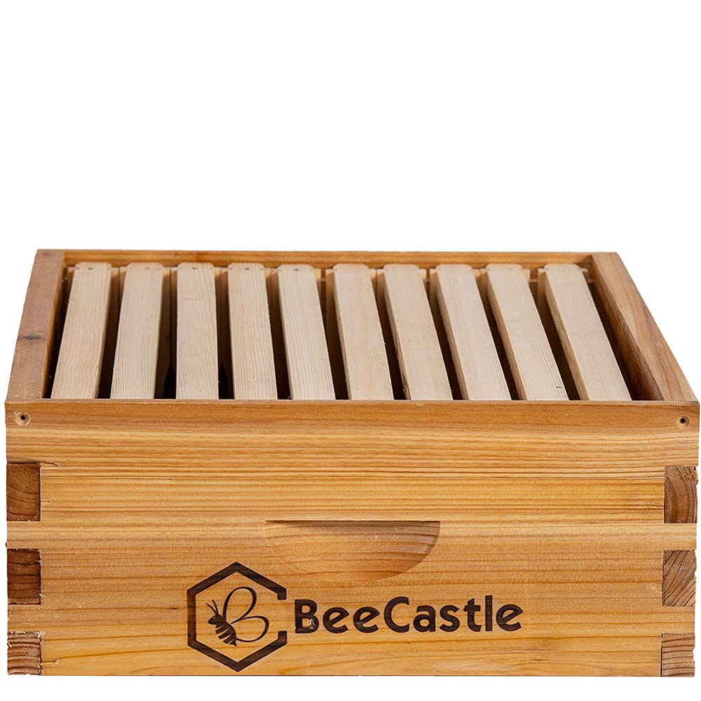 BeeCastle 10 Frame Medium Super Bee Hive Box, Langstroth Honey Bee Hive Dipped in 100% Beeswax Include Beehive Frames and Wax Foundations (Unassembled) - WoodArtSupply