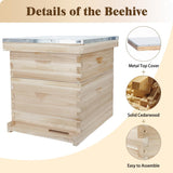 BeeCastle 10 Frame Langstroth Bee Hive, Beehive Starter Kit for Beginners with Beehive Frames and Waxed Foundation (1 Deep Box & 1 Medium Box) BeeCastle
