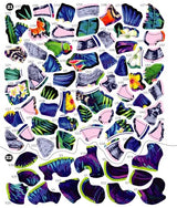 Brain Games - Sticker by Number: Neon Jungle (28 Images to Sticker) WoodArtSupply