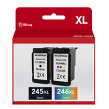 Abfray Remanufactured Ink Cartridge Replacement for Canon 245XL 246XL for PIXMA MG2420 MG2520 MG2522 MG2525 MG2920 MG2922 MG2924 MG3020 TR4520 1245 Printer (1 Black, 1 Color, 2 Pack) Abfray