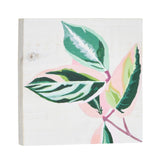 6 Pack White Washed Craft Wood Board Panels with Hardware Included for DIY Signs, Paintings (5 x 5 in) Bright Creations