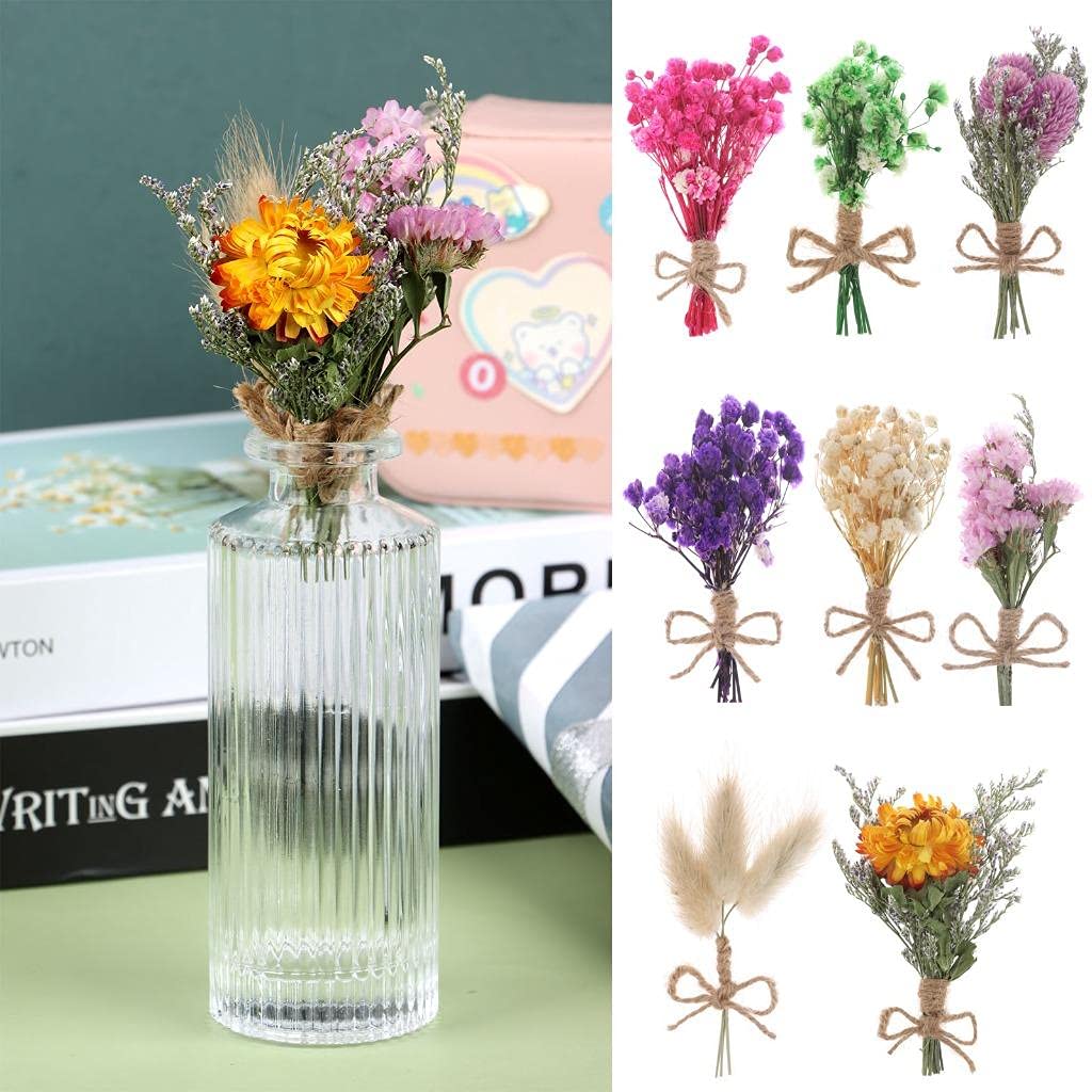 8 Pcs Mini Gypsophila Bouquets Dried Flower Daisy Bundles Dry Flower&Leaves Natural Lagurus Dried Embossing Flower Plant Stem Bunch for DIY Craft,Card Decoration,Photo Props,Home Party&Wedding Decor WWahuayuan