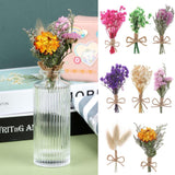 8 Pcs Mini Gypsophila Bouquets Dried Flower Daisy Bundles Dry Flower&Leaves Natural Lagurus Dried Embossing Flower Plant Stem Bunch for DIY Craft,Card Decoration,Photo Props,Home Party&Wedding Decor WWahuayuan