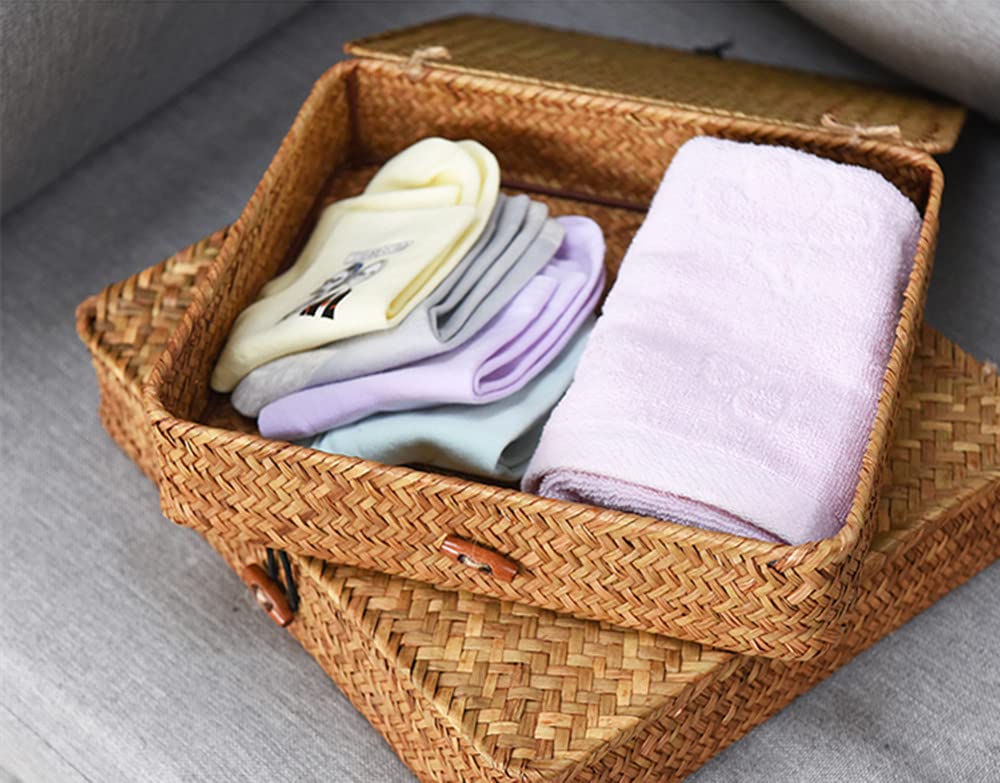 Flat Seagrass Storage Bins with Lid, Wicker Basket for Shelf Organize, Set of 2 (Small+Large) DOKOT