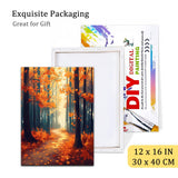 Natuyalo Framed Paint by Number Kits for Adults Beginners, Forest Path Easy Acrylic Adult Paint by Number Kits, Autumn Landscape DIY Painting by Numbers Kits with Frame 12x16 Inch Natuyalo