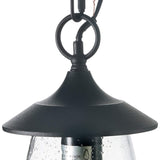 LOG BARN Outdoor Pendant Lights, Porch Fixture in Painted Black Metal with Clear Bubbled Glass Globe, Hanging Lantern Lamp for Gazebo, Entry, Yard LOG BARN